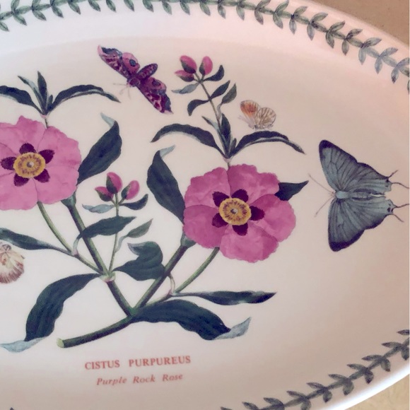 NWOT Portmeirion Beautiful Botanic Garden Oval Stoneware Platter EXC MINT COND!! - Picture 8 of 8